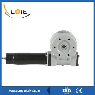 سی ای کے ساتھ سلیو ڈرائیو سنگل ورم بیئرنگ